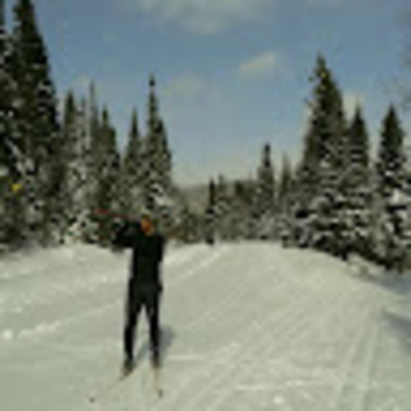 Meet your Posher, Peter - Picture 1 of 1